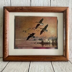 David Maass Silent Descent Foil Art Framed Canadian Geese Wildlife Print Vintage
